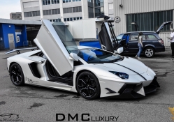 DMC design Lamborghini Aventador LP900 special version