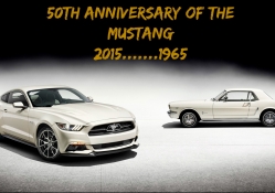50th Anniversary of the Mustang