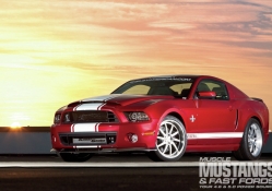 Muscle Mustang's Top 10 Ford Mustangs in America  for 2013