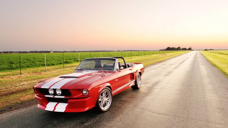 ford_shelby_mustang_convertible.jpg