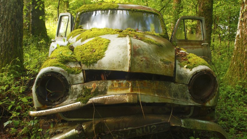 moss_covered_abandoned_car_in_a_forest.jpg