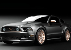 Muscle Mustang's Top 10 Ford Mustangs in America  for 2013