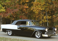 1955 Chevy _ Convertible