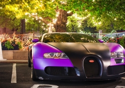 Purple and Black Bugatti