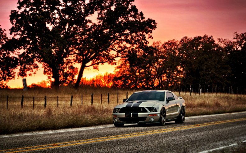 ford_mustang_shelby_gt500.jpg