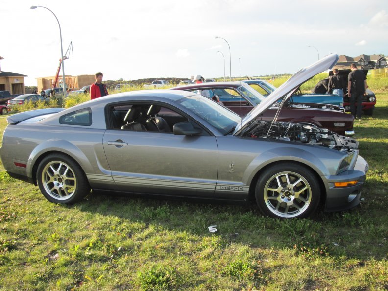 2007_shelby_gt_500_coupe.jpg