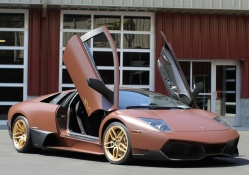 Lamborghini meet interesting color!