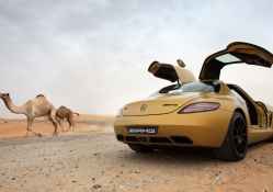 Mercedes sls AmG In Desert