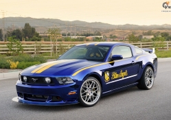 2011 Ford Mustang Blue Angels