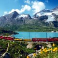 Train in Swiss Alps