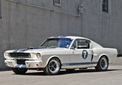 Stirling_Moss_Shelby_Gt350
