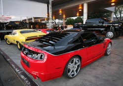 Black &amp; Red Mustang