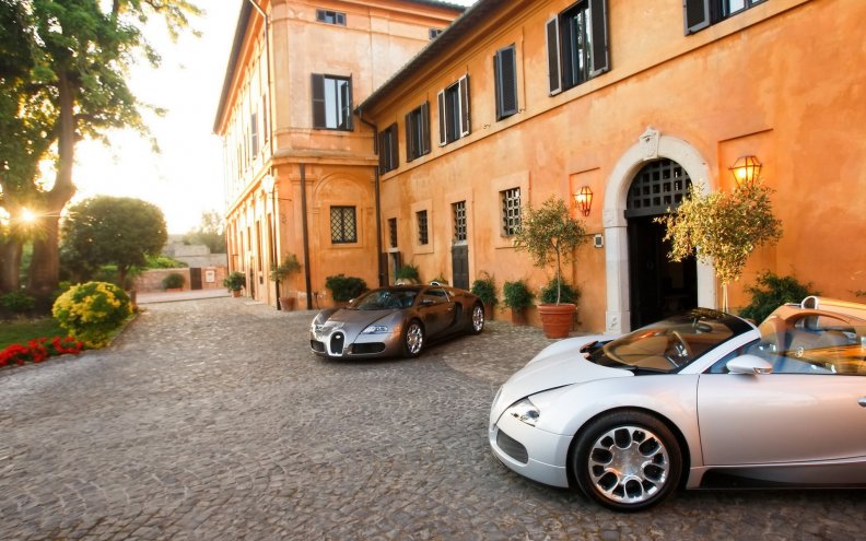 two_bugatti_veyrons_at_a_mansion.jpg