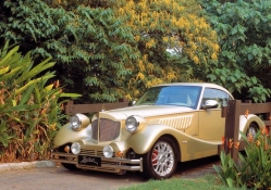 buforl old model car