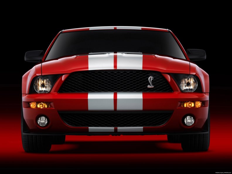ford_shelby_gt500.jpg