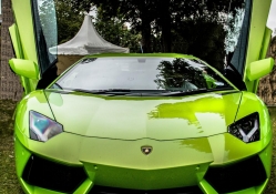 Green Lamborghini Avendator
