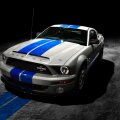 ford mustang shelby