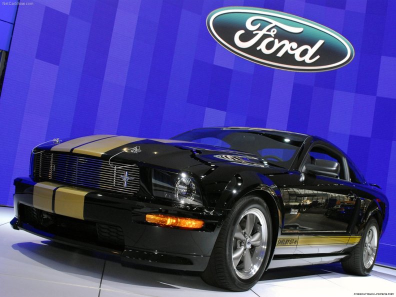 ford_mustang_shelby_gt3.jpg