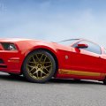 2014 Ford Mustang 50th Anniversary 