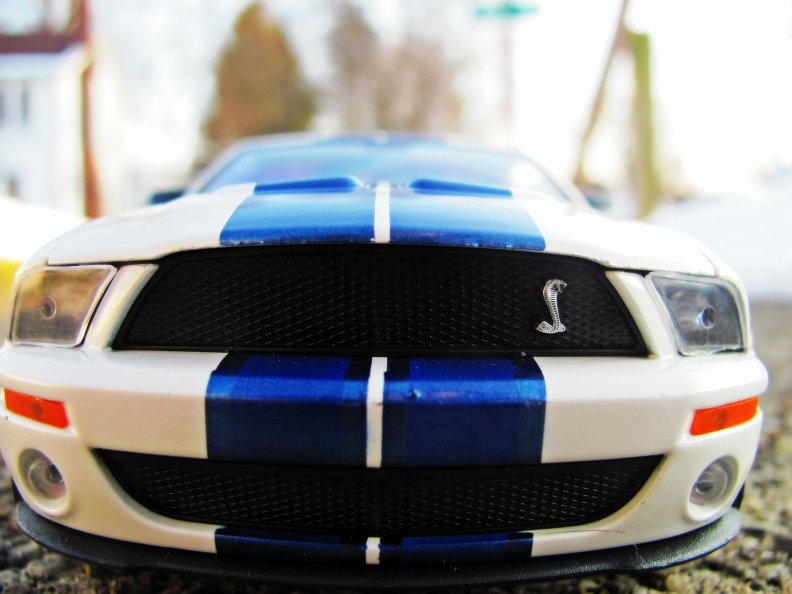 2007_ford_shelby_gt_500.jpg