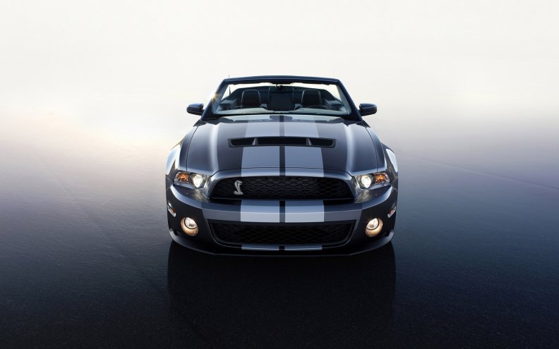 ford_mustang_shelby_gt_500.jpg