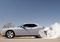 Dodge Challenger dust