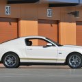 Shelby GTS Anniversary Edition