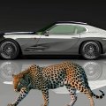 2012 Jaguar Type E