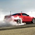 Mustang Burnout