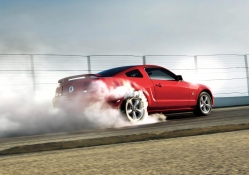 Mustang Burnout
