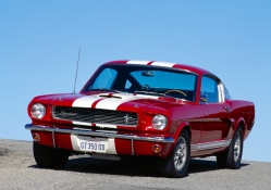 1966 Ford Mustang Shelby Gt 350