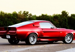 1967 Ford Mustang Shelby Cobra GT500