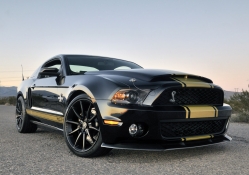 Shelby GT500 Super Snake Anniversary Edition