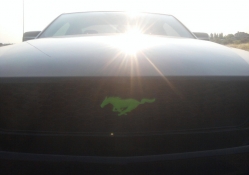 Custom Mustang grill emblem