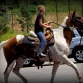 Country Girl On Horseback