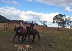 Cowgirls On Horseback