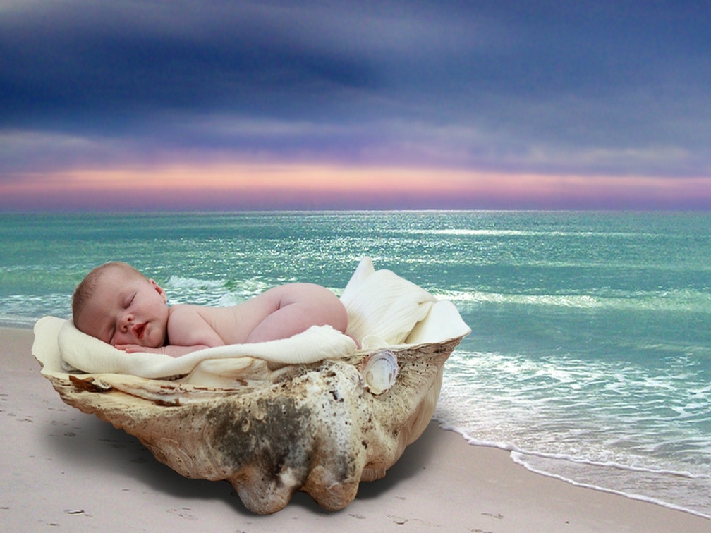 Seashell Baby