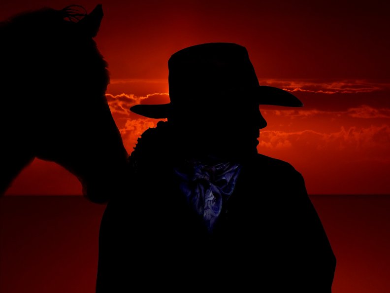 cowgirl_silhouette.jpg