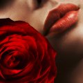 Red lips and red rose