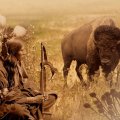 Sioux and Bison