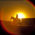 Cowgirl In Glowing Sunset
