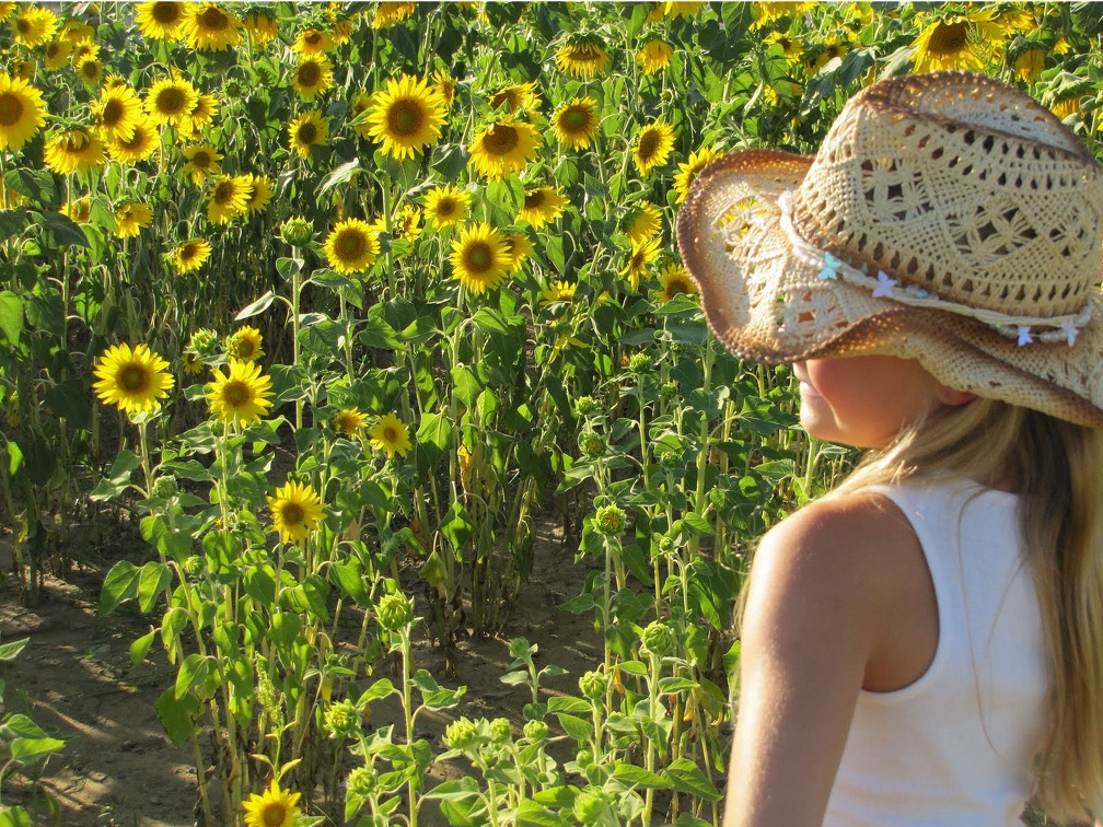 Sunflower Cowgirl