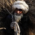 Afghan Man Carrying Wood