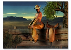 COWGIRL SITTING ON FENCE
