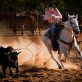 Cowgirl Roping