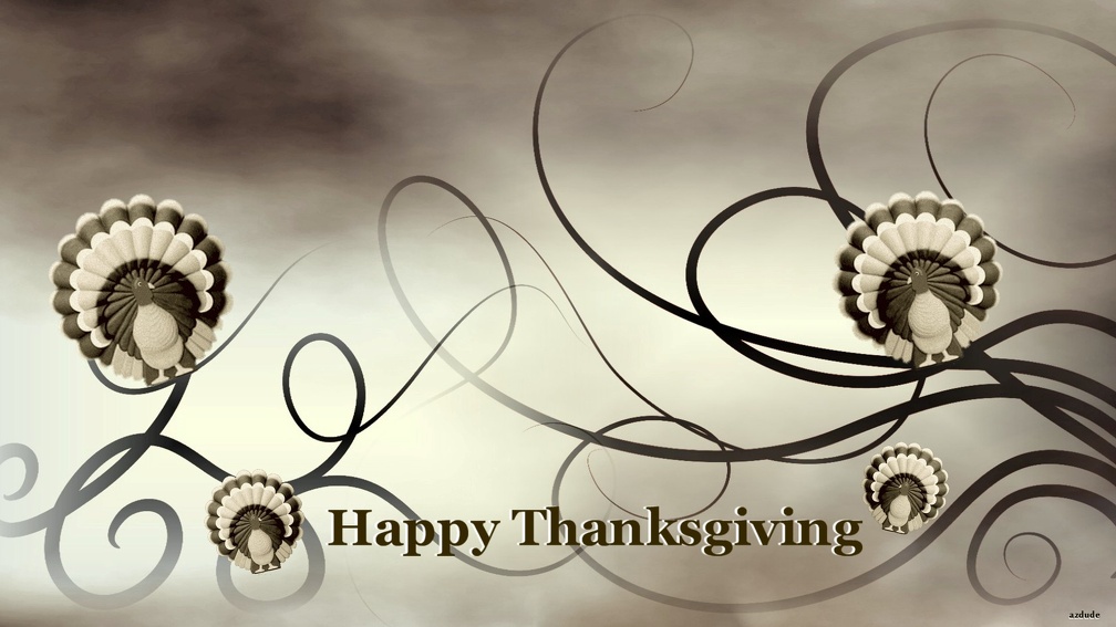 Happy Thanksgiving; To you and your family.