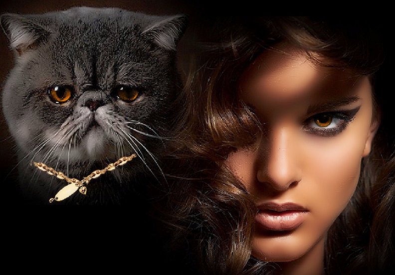 Beauty and Persian Cat