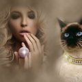 Beauty and Siamese Cat