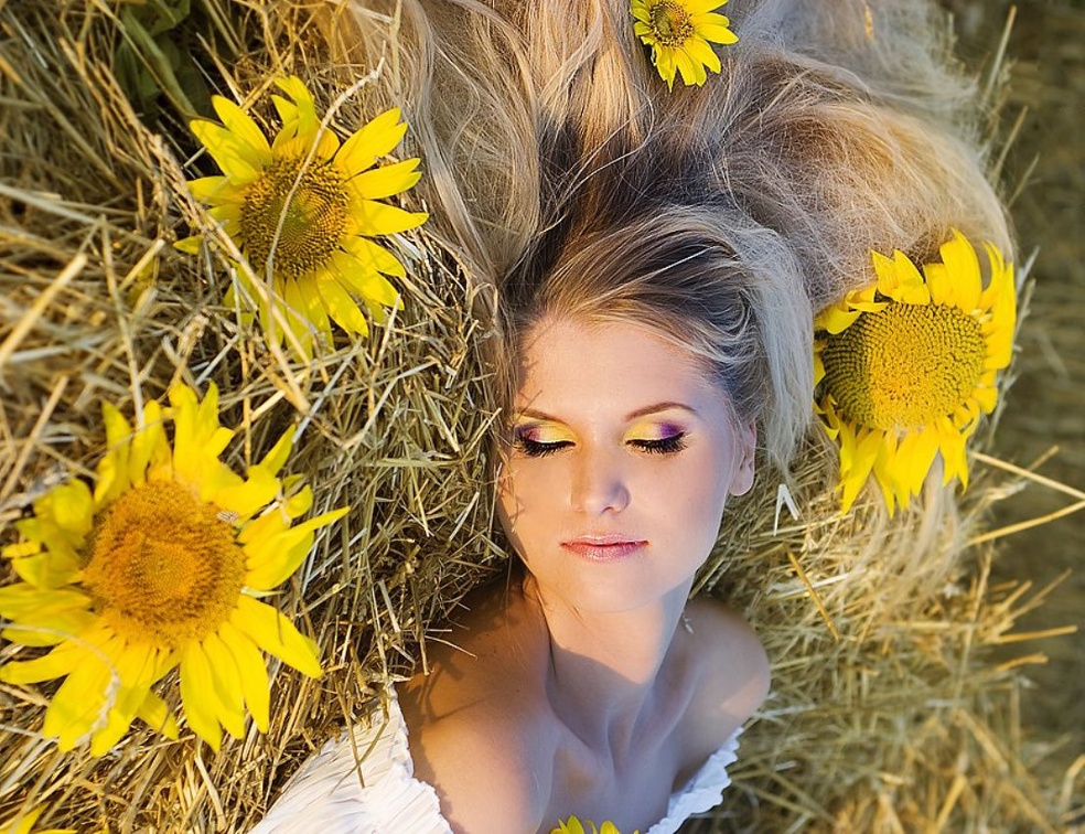 Sunflower Beauty