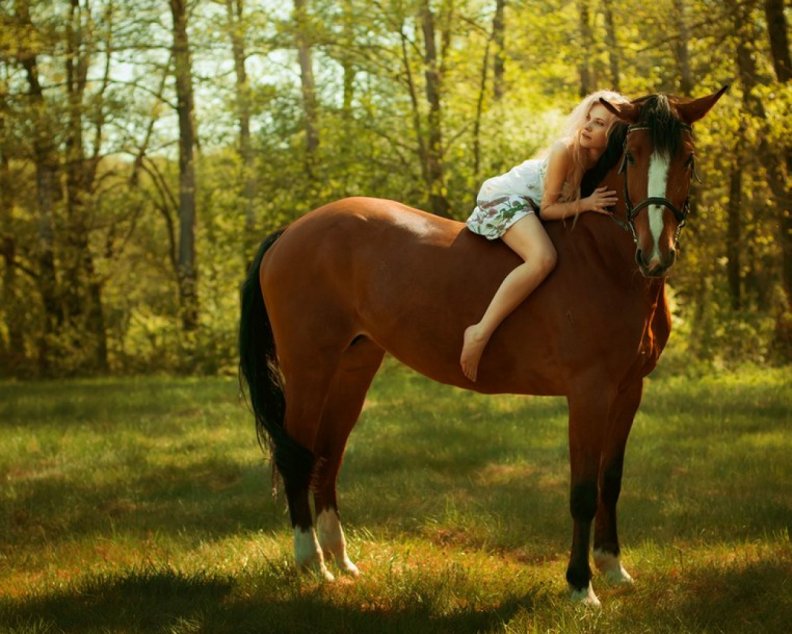 girl_on_a_brown_horse.jpg